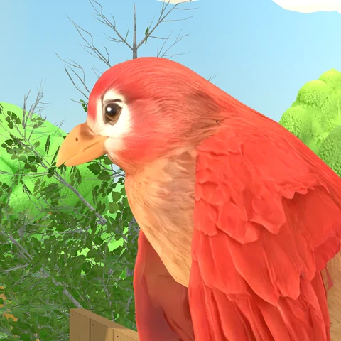 Rowan